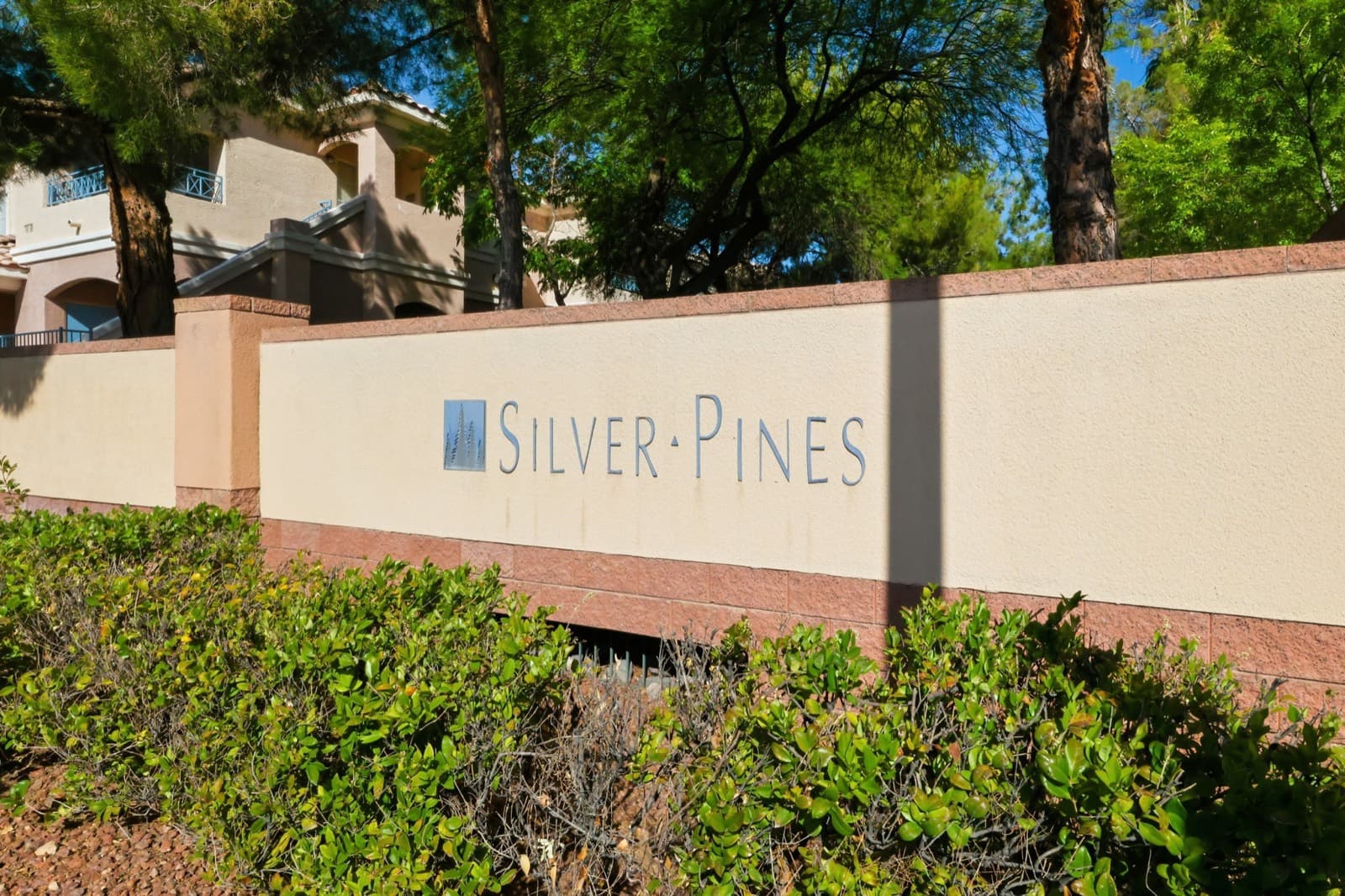 Summerlin condo photo 13